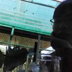 Nguyễn Quố ở Tân Phước, Tiền Giang - Mình tên là Trung 21tuổi ở Tân