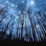 Day Sao Bu ở Phan Rang-Tháp Chàm, Ninh Thuận - xin chào