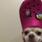 Thiện ở Quận 12, TP Hồ Chí Minh - Hi mình tìm FWB, ONS, bạn nữ n