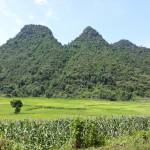 Giang ở Điện Biên Phủ, Điện Biên - Binh thuong