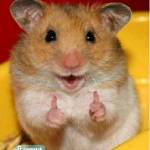 Nguyenthie ở Hải Châu, Đà Nẵng - Ngoại hình ưa nhìn