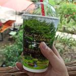 phạm ở Thủ Đức, TP Hồ Chí Minh - zui tính