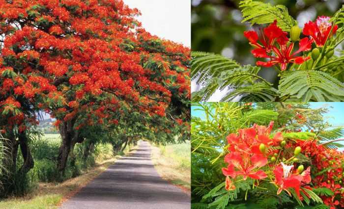 photos | THANH HA (Nữ) Độc thân - Tìm bạn đời nghiêm túc tại Ba Đình Hà Nội