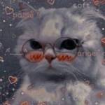 Nguyễn Thả ở Hà Đông, Hà Nội - Là 1 người biết quan tâm hay l