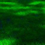 Nguyễn Min ở Quận 10, TP Hồ Chí Minh - Sống đơn giản, nhẹ nhàng, tình