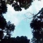 Hùng ở Sơn Trà, Đà Nẵng - Vui tính, hiền lành, có kỹ năn