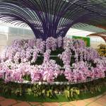 Huy ở Diên Khánh, Khánh Hòa - Vui chân thanh