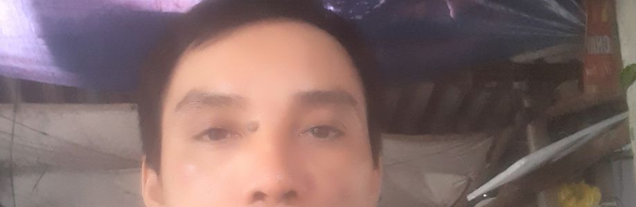 Nguyễn Hồng Thái Cover Image