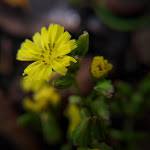 Oh No ở Hóc Môn, TP Hồ Chí Minh - Nothing