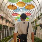 Văn Sơn ở Tân Phú, TP Hồ Chí Minh - có ngoại hình ưa nhìn mún tìm 