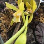 Bảo Duy - tim ban trai da ly hon qua so dien thoai