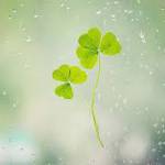 Khoa ở Quận 11, TP Hồ Chí Minh - Khoẻ mạnh - công việc ổn định