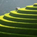 Nguyen thu ở Mê Linh, Hà Nội - Tôi là người điềm tính,số