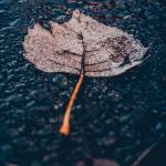 tô ở Quận 1, TP Hồ Chí Minh - độc thân vui vẻ