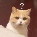 Phạm huy d ở Thái Nguyên, Thái Nguyên - Top