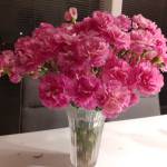 Mây trắng - tìm bạn gái đã ly dị chồng