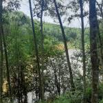 lee mi soo ở Hà Tĩnh, Hà Tĩnh - hay noi nhieu