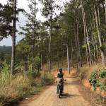 Anh lê ở Bình Thạnh, TP Hồ Chí Minh - Tìm fwb ở sg, đi ăn đi chơi vv