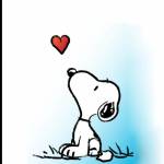 Minh Phan ở Quận 4, TP Hồ Chí Minh - Là một người thân thiện, vui v