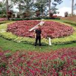 Thắng Lê ở ,  - 