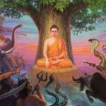 Định Thích ở Đức Hòa, Long An - Vui vẻ hòa đồng