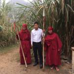 Tung ở Thanh Hóa, Thanh Hóa - Hòa đông vui vẽ