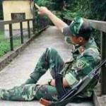 Trường Văn ở ,  - 