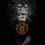 Hoang Anh  ở Buôn Ma Thuột, Đắk Lắk - 2 ban tay trang sau 1 thoi gia