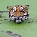 Hải Truong ở Phú Thọ, Phú Thọ - Vui ve; thích khám phá