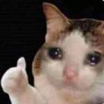 Nhật - tim ban trai da ly hon qua so dien thoai