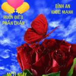 Loan Nguyễn - tìm bạn gái đã ly dị chồng