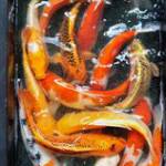 ten la b ở Thanh Khê, Đà Nẵng - hi