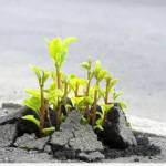 Anh tuấn ở Phú Mỹ, Bà Rịa - Vũng Tàu - Gặp sẽ rõ