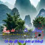 Ta phi Lon ở Bình Chánh, TP Hồ Chí Minh - Bình thường <br>Không chanh du