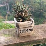 K - tim ban trai da ly hon qua so dien thoai