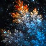 Chung Trịnh - tim ban trai da ly hon qua so dien thoai