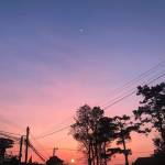 Bin ở Huế, Thừa Thiên Huế - All