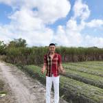 Bùi Quang  ở Huế, Thừa Thiên Huế - Bình thường