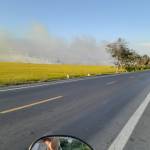 Lam ở Bình Thủy, Cần Thơ - Không đẹp trai nhưng không xấu