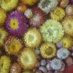 tim ban gay top bot Long