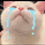 Đức Hiếu ở Hà Đông, Hà Nội - .