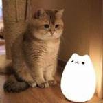 Vinh Nguyễ ở Cầu Giấy, Hà Nội - Hiền , gét giả dối , thích độn