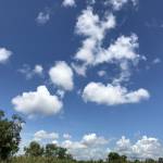 Dũng Trần ở Cà Mau, Cà Mau - Vui vẻ dễ hoà nhập với các bạn