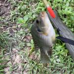 Đạt Profile Picture