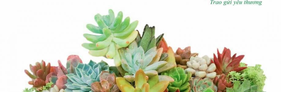 THANH HA Cover Image