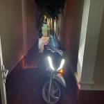 Hoang minh ở Biên Hoà, Đồng Nai - To khoẻ