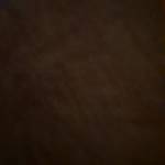 Hoang phu ở Quận 2, TP Hồ Chí Minh - ....