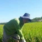 Ken Mc ở Quận 1, TP Hồ Chí Minh - Tham cầu