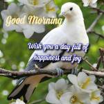 Truong Phú ở Quận 1, TP Hồ Chí Minh - Vui vẻ