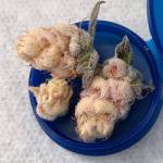 Nam ở An Dương, Hải Phòng - Đẹp zai. Làm tình giỏi. Thích 